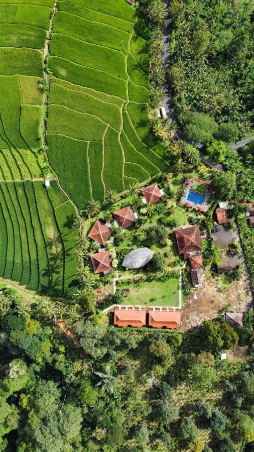 מלון Padangan  Sava Eco Retreat מראה חיצוני תמונה
